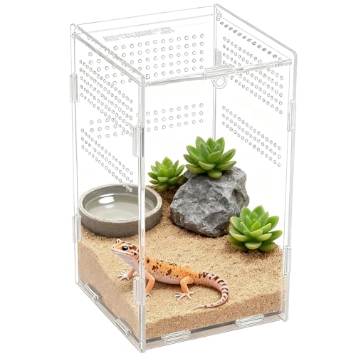 Acrylic Reptile Enclosure, 4.7x4.7x7.9 Inch Vivarium Terrarium for Gecko, Frogs, Fully Transparent Habitat with Optimal Ventilation, Front Opening Door for Easy Access