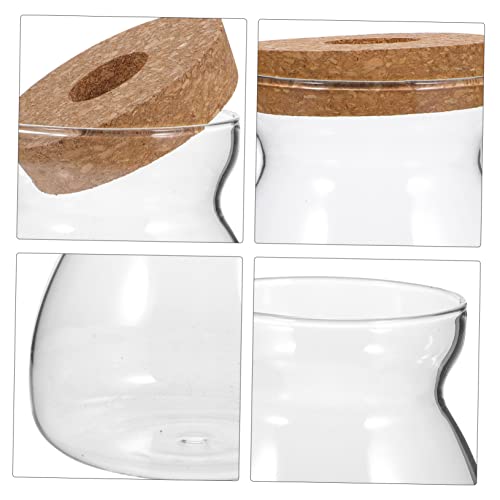 Glass Propagation Jar for Micro Landscape Display and Stable Holding | Viewing, Wood and Glass Build, Living Room Study Placement, Aquarium Gravel or Embellishment Use