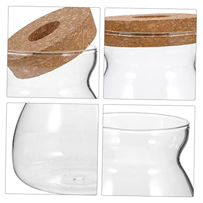 Glass Propagation Jar for Micro Landscape Display and Stable Holding | Viewing, Wood and Glass Build, Living Room Study Placement, Aquarium Gravel or Embellishment Use