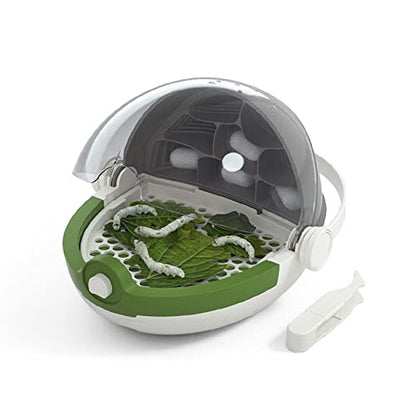 MagiDeal Portable Silkworm Transport Container Kids Outdoor Toys Reptile Feeding Box Transparent Animal Habitat Cage for Pet Spiders Frogs Scorpions