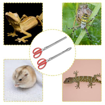 2pcs Snake Feeding Tongs, 15 inch Snake Hook Snake Grabber Tool Snake Stick Reptile Tongs for Bearded Dragon Snake Reptile Gecko Tank Accessories Terrarium Supplies