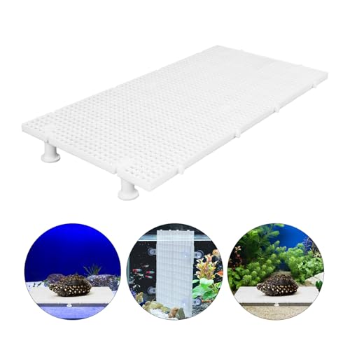 Toyvian Fish Tank Divider Board with 4.5mm Mesh Grid, Non-Submersible White Isolation Plate, Includes 1 Grid Panel and 6 Support Pillars for Aquarium and Tortoise Reptile Basking Platform