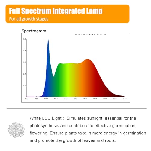 T5 1FT 0.3M 6W×4 White Light 5000K Grow Light Tubes,Full Spectrum LED Grow Lights,6W Energy Efficient,Plug & Play,for Hydroponics/Soil Seedlings Vegetables Herbs Flower (4 Packs) - color: White Light