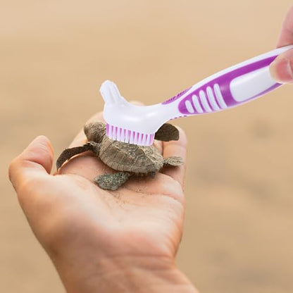 Turtle Shell Cleaning Brush Double-Sided Aquatic Tortoise Shell Mud Remover Portable Purple Brush for Turtle Care and Reptile Tank Maintenance