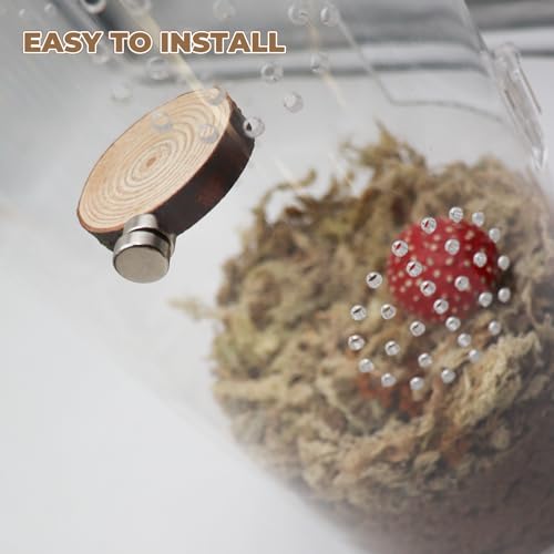 Jumping Spider Accessories, 3 Pack Wooden Ledges with Magnets, Natural Pine Spiders Ledges, Jumping Spider Enclosure Accessories, Magnetic Reptile Ledge