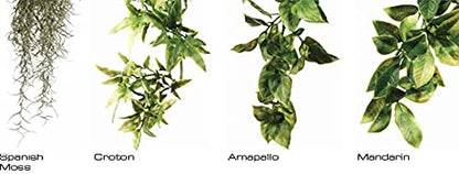 Hagen Exo Terra Plastic Terrarium Plant, Small, Amapallo - color: Multi Color, size: Small