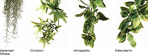 Hagen Exo Terra Plastic Terrarium Plant, Small, Amapallo - color: Multi Color, size: Small