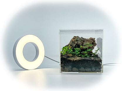 Tiny Terrarium Kit 4x4 Inch – DIY BioActive Starter Kit with Live Tropical Plants, Halo LED Grow Light, Soil, Drainage, 25 Dwarf White Isopods, and 25 Fire-Orange Springtails