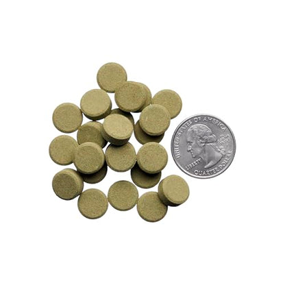 Plecoceramics Protein Wafers Universal Fish Food for Aquarium Fish - Turtle, Goldfish, Catfish - Algae Wafers for Bottom Feeders - Protein Pellets (3.53 oz / 100 gr)