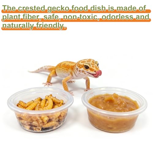 Tfwadmx 0.5oz 500pcs Gecko Feeding Cups, Reptile Food Dish and Water Cups Reptile Feeding Bowls Gecko Tank Accessories for Lizards Snake Crabs - size: 0.5oz 500pcs