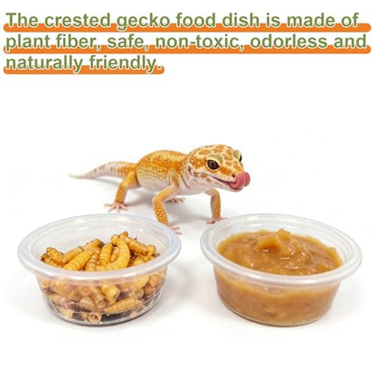 Tfwadmx 0.5oz 500pcs Gecko Feeding Cups, Reptile Food Dish and Water Cups Reptile Feeding Bowls Gecko Tank Accessories for Lizards Snake Crabs - size: 0.5oz 500pcs