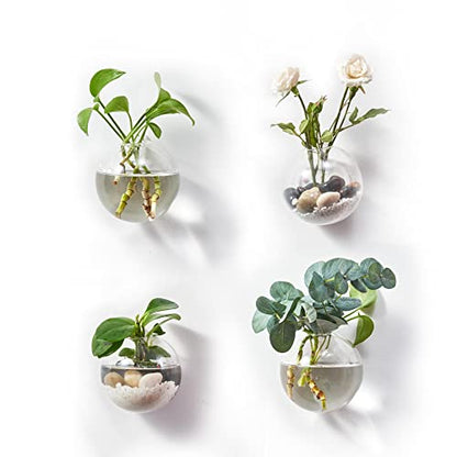Wall Hanging Planters Terrarium Glass Air Plant Holder Pots for Plants