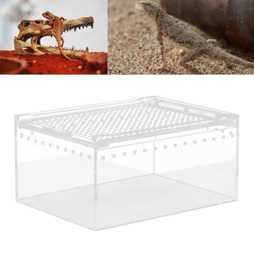 Reptile Breeding Box, Reptile Terrarium, Animal Habitat, Cage, Enclosure, Cage for Turtle Container, 20cmx15cmx10cm - size: 20cmx15cmx10cm