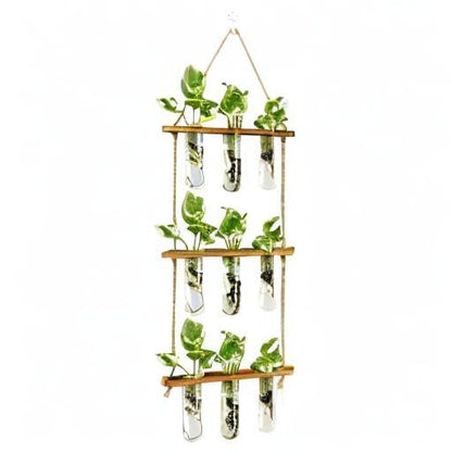 XXXFLOWER Wall Hanging Propagation Station with Wooden Stand Glass Test Tubes Tiered Planters Wall Terrarium for Home Office Plant Hanger Flower Vases Wall Decor Hydroponic Cuttings (9 Tube Vases) | Mini Flower Pothos Test Tube Vase,Wall Decor Hanging Pla