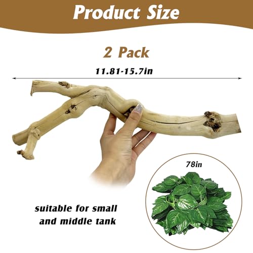 VCEPJH Snake Climbing Branch 3PCS Reptile Wood Natural Cork Log Terrarium Decor Bearded Dragon Tank Accessories Tree Trunk for Chameleon Gecko Ball Python Frog Panlong Wood (11.8-15.7in) - size: Panlong Wood (L:13.7"-15.7"-2pcs)