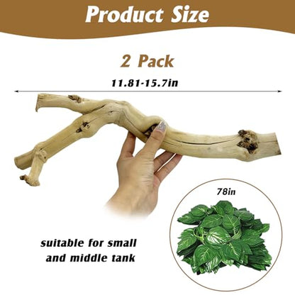 VCEPJH Snake Climbing Branch 3PCS Reptile Wood Natural Cork Log Terrarium Decor Bearded Dragon Tank Accessories Tree Trunk for Chameleon Gecko Ball Python Frog Panlong Wood (11.8-15.7in) - size: Panlong Wood (L:13.7"-15.7"-2pcs)