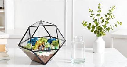 Creations by Nathalie DIY Geometric Glass Terrarium Kit with Live Plant | DIY geometric glass terrarium kit with live plant, moss, and tools for creating indoor terrarium displays with your plants. - color: Dodecahedron Black Frame