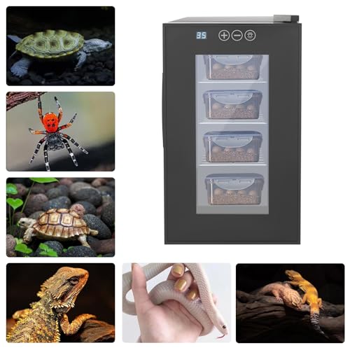 23L Large Reptile Incubators, Portable Reptile Lab Incubator Constant Temperature & Humidity Intelligent Reptile Incubator with LED Display and 220° Glass Door for Turtle Tortoise Lizard Snake Eggs