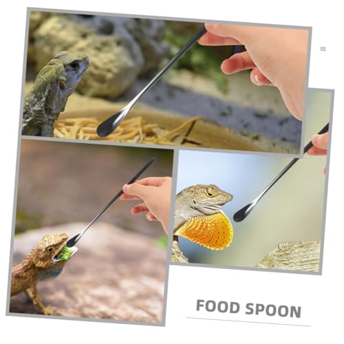3pcs Small Reptile Feeding Spoon Lizard Food Scoop Multi-Functional Pet Spoon for Animals