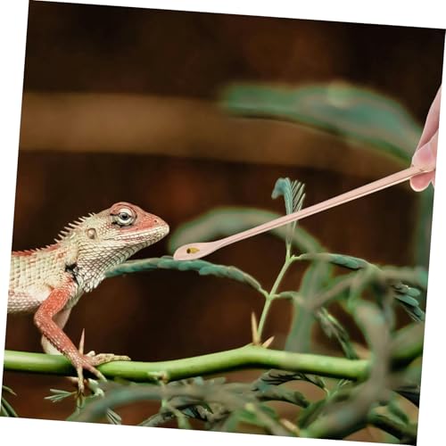 TOYANDONA 2pcs Reusable Stainless Steel Reptile Food Spoon Ergonomic Feeding Tool for Small Pets for Lizards and Other Reptiles Design