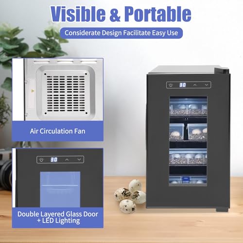 Reptile Incubator, 23L Cabinet Incubators for Hatching Eggs Scientific Lab Incubator Reptile Egg Incubator for Hatching Chicks 50-104°f Precise Temperature Control Cooling and Heating