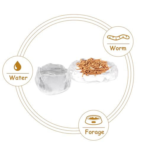 2 Pack Reptile Food Dish and Drinking Bowl Small Food Dish Terrarium Feeder for Small Reptile Lizard Gecko Spider Cricket Baby Bearded Dragon Hermit Crab Snail Turtle