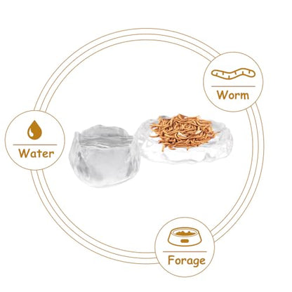 2 Pack Reptile Food Dish and Drinking Bowl Small Food Dish Terrarium Feeder for Small Reptile Lizard Gecko Spider Cricket Baby Bearded Dragon Hermit Crab Snail Turtle
