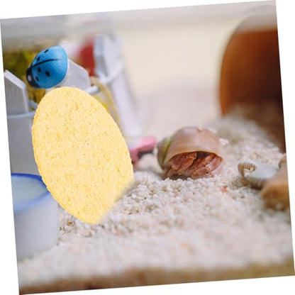 20pcs Humidity Maintaining Crab Tank Sponges Unbleached Sea Sponge for Water Dish Durable Moisture Retention Promoting Healthy Growth Pet Crab Habitats