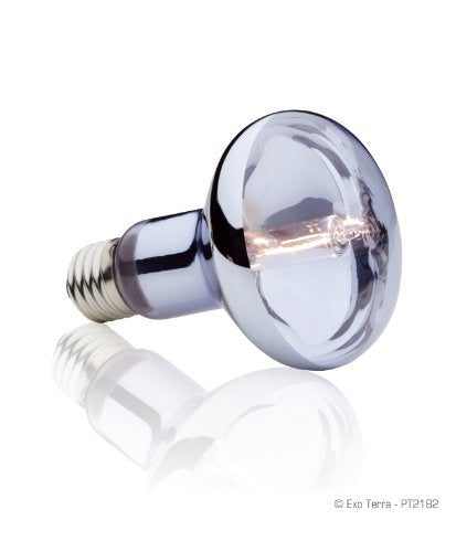Exo Terra Sun Glo Halogen Basking Spot Lamp | 75W Reptile Light Bulb, Broad Spectrum Daylight, Enhances Coloration, Promotes Health, PT2182 - size: 75 Watts