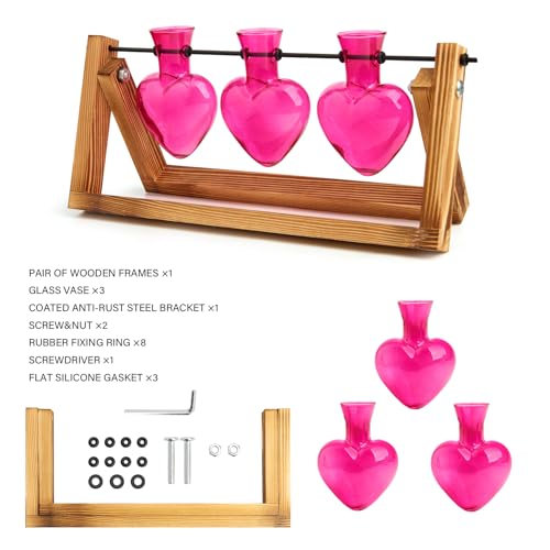 XXXFLOWER Plant Terrarium Propagation Stations 3 Heart Shaped Vases | Unique Terrarium Jar Gifts for Women Wife Mom Plant Lovers, Hydroponics, Home Garden Office Decor - size: 3 Heart Vase