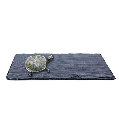 Slate Reptile Basking Platform Tortoise Feeding Dish Natural Rock Reptile Bowl Landscape Habitat Decor for Turtle 10 * 12 - size: L