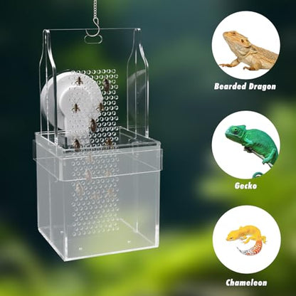 Chameleon Feeding Bowl, Hanging/Mounted Translucent Acrylic Bearded Dragon Feeder with Grid Plate for Bugs Climbing and Move, Aquarium & Terrarium Accessories for Lizard Iguana