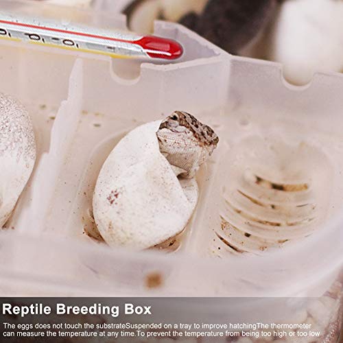 Jeanoko Transparent Plastic Reptile Breeding Box with Hatching Tray for Snakes, Lizards, and Eggs - 16.5x11x5.2cm