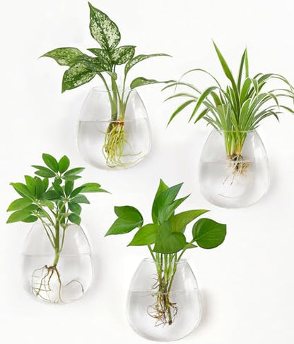 Dahey Wall Propagation Vases, 4 Pack Oblate Borosilicate Glass Planters | Fits Hydroponic Cuttings & Flowers, Drill-Free Mount, Easy Clean, Clear Root View, Heat-Resistant, Home Decor, Plant Gift