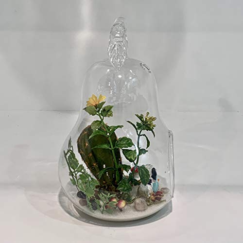 WGV Planter Terrarium Bulk, Width 5.5", Height 8", Clear Unique Pear Glass Vase Conatiner, DIY Planter Votive Candle Holder for Home Office Garden Decor, 6 Pieces - size: Pear