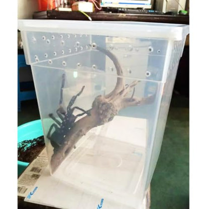 YARNOW Reptile Feeding Box for Lizards and Spiders Lightweight Pp Material with Ventilated Design Suitable for Feeding and Temporary Quarantine Zone
