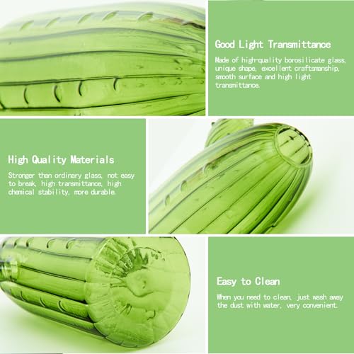 XXXFLOWER Cactus Plant Propagation Station 4 Cactus Vase Terrarium Jars | Desk Plant Cuttings Plant Holders Unique Glass Flower Vase for Hydroponics Plants for Plant Lovers Home Garden Decor - size: 4PCS Cactus Vase