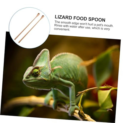 SUPVOX 2pcs Handle Pet Food Spoon Reptile Feeding Tool for Lizard and Small Animals Convenient and Easy to Use Rose Gold Design - color: Rose Gold