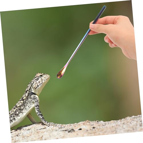 Toddmomy 2Pcs Stainless Steel Lizard Feeding Spoon Long Handle PET Food Scoop for Reptiles and Small Animals Sturdy and Easy to Use Feeding Tool