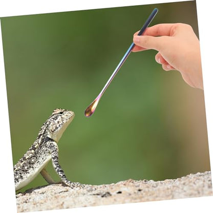 Toddmomy 2Pcs Stainless Steel Lizard Feeding Spoon Long Handle PET Food Scoop for Reptiles and Small Animals Sturdy and Easy to Use Feeding Tool