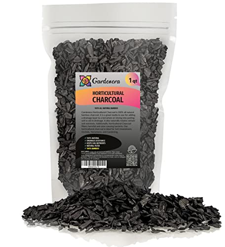 1 Quart - Premium Horticultural Charcoal for Indoor Plants | Black Diamond Soil Amendment for Orchids, Terrariums, and Gardening - color: CHARCOAL, size: 1 Quart