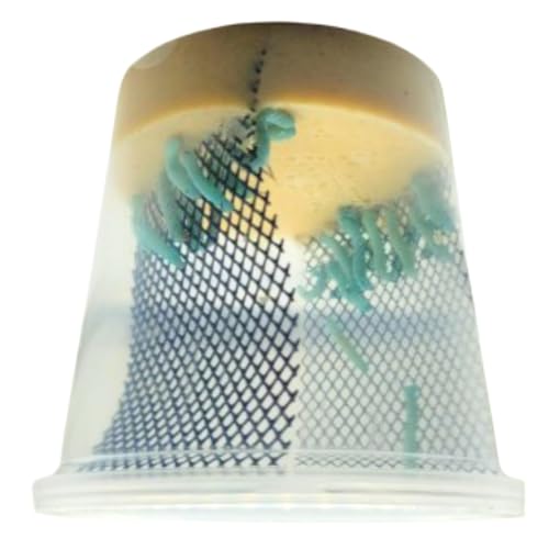 Hornworm Cup (25-35 Count) | Perfect for Reptiles | Live Arrival