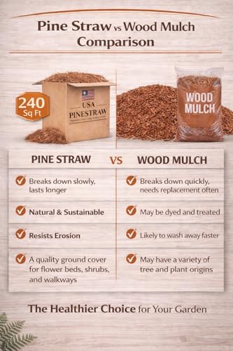 Long Needle Pine Straw Mulch - 240 Sqft Coverage 1 Set - Premium USA Harvested PineStraw for Landscaping, Weed Control, Moisture Retention & Erosion Control - USA Pinestraw - size: Long Needle - 240 Sqft - New Bigger Box 1 set