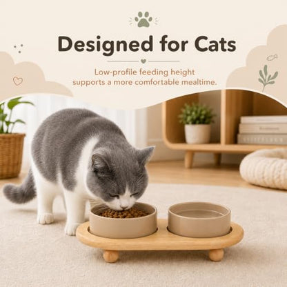Havniva Raised Cat Bowl 5.1” Elevated Ceramic Cat Food and Water Bowl Set | Cat Bowls Elevated, Whisker Friendly Cat Bowl, Non-Slip Wood Stand, Food-Grade Ceramic, Wide Opening, Dishwasher Safe - color: Greige, size: 2 Bowls+Tray - 5.1"