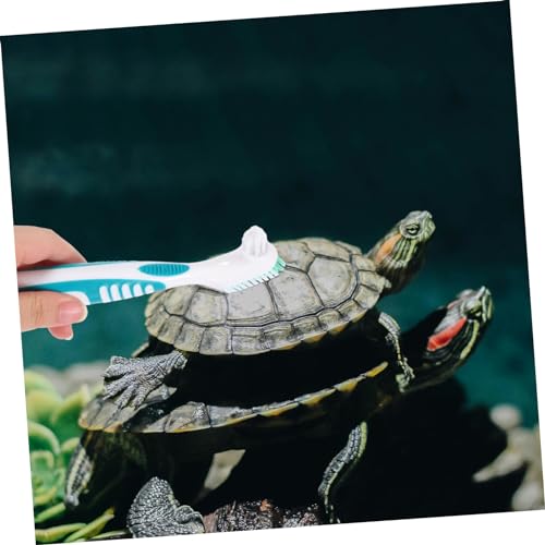 MERRYHAPY 2pcs Reptile Terrarium Shower Cleaning Brush Double-Sided Turtle Shell Cleaning Brush Portable Turtle Supplies for Tank - color: Multi