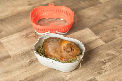 Trixie Pico Transport Crate, Small Pet Carrier, Portable Travel Carrier, for Small Pets, Hamsters, Guinea Pig, Lizards | Portable Pet Carrier, Ideal for On-The-Go, Traveling Cage for Small Pets, Bunnies, Hamsters, Guinea Pigs, Lizards - size: 11.8"L x 8.3