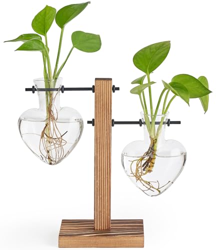 Mkono Propagation Stations,2 Heart Shaped Glass Plant Vases with Wood Stand | Hydroponic Terrarium, Desktop Propagation Jars, Cute Air Plant Flower Holder,Home Office Decor, Plant Lover Gardening Gift - size: 2 Heart Bulb Vase