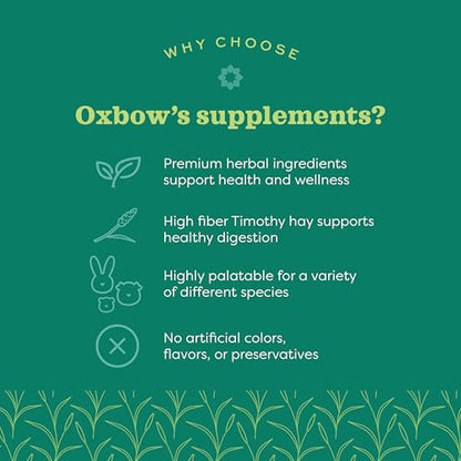 Oxbow Digestive Support Rabbit & Guinea Pig Supplement, Timothy Hay, 4.2 oz | Digestive Support, Timothy Hay, Rabbits, Guinea Pigs, Supplement, Chicory Root, Ginger Root, Chamomile, Healthy Digestion - size: 4.2 Ounce (Pack of 1)