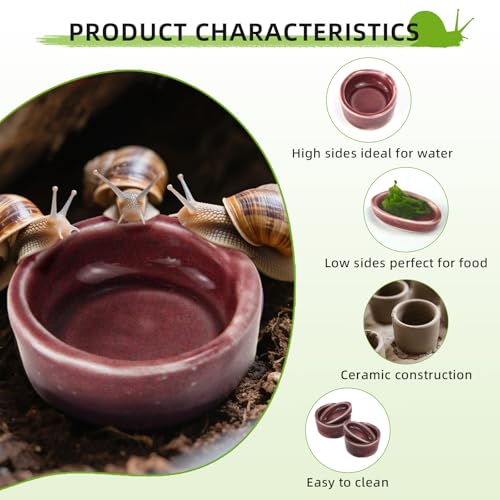 4 Pack Snails Feeding Dish Set for Land Snails, Snail Food and Water Bowl - Calcium Food Bowl & Water Tray, Mini Pet Supplies, Durable Snail Tiny Pet Dishes