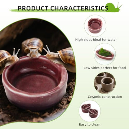 4 Pack Snails Feeding Dish Set for Land Snails, Snail Food and Water Bowl - Calcium Food Bowl & Water Tray, Mini Pet Supplies, Durable Snail Tiny Pet Dishes